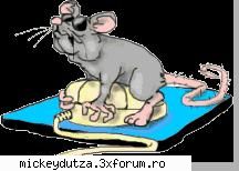 imagini - mickeydutza - Imagini haioase