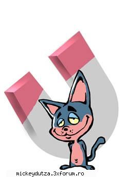 imagini - mickeydutza - Imagini haioase