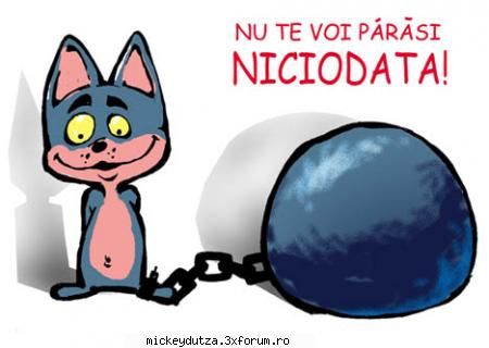 imagini - mickeydutza - Imagini haioase