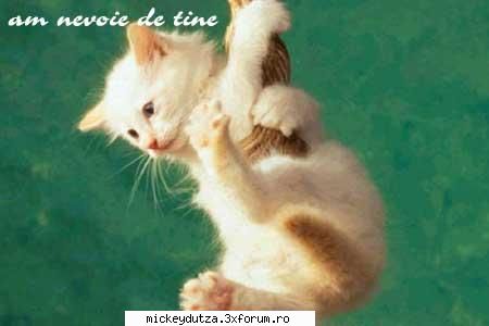 sal - Salut to all...look on my site if you like - La site-ul tau